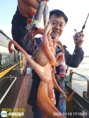 10-10(오후조황)K오버 돌문어 사이즈 굿~일오후 예약중