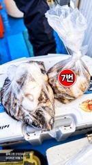 [10일] 쭈꾸미 8분 출항, 1번~8번 자리 별 조황 사진! 가을은 깊어 지고, 겨울로 가는 바람은 불어 오고…