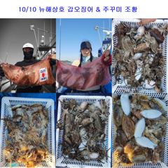 10월 10일 갑오징어 & 주꾸미 조황