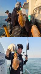 [갑오징어조황] 10월10일 갑오징어 조황