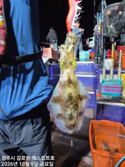 주간은 삼치및방어가 일타일피 야간은 무늬가 싸이즈도,마리수 최고 예약중입니다 사진