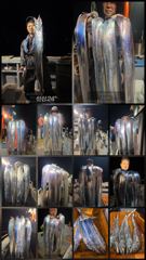 여수(수퍼스타호) 10일철수 갈치조황 사진