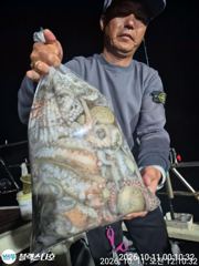 [사천] 토요일 야간문어 대박터졌습니다