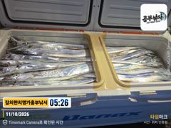 12시경 얼음녹히기시작 만쿨 부터 내일부터 여유로운 평일출조