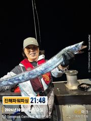 [갈치/텐빈/텐야]11일입항~쿨러조황[오늘예약가능]