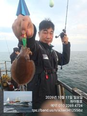 11일, 군산은 갑오징어 천국~역대급 조황이 계속~오늘도 굿~~실시간~군산낚시프라자 하이원호 사진