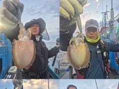 <크라운호.> 군산갑오징어 실시간조황~잘나옵니다(11일)-오후주꾸미 자리있습니다 사진