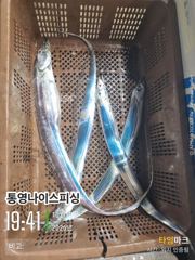 통영나이스피싱!!! 굵은왕갈치. 많이 들어왔어요. 화요일 자리여유 정상출항합니다