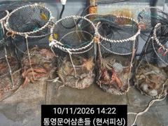 (문어)골고루~K전후 덩치들 뽑고 또 뽑고~현서피싱(12일 예약)