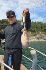 10월11일 여섯분출조 돌문어조황 내일오전10시출조3여유