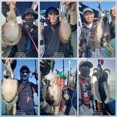 [무창포아파치호] 10월11일(일), 오늘도 쭈갑 병행출조, 갑오징어 위주로 망태기가 풍성한 조황~ㅎ 내일(12일,월)도 정상출조, 자리여유, 전화주세요~ 010-8422-0866 사진