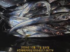 실시간ㅡ초저녁부터 입질 퍽퍽 용가리급까지 마릿수 굿(월요일예약가능