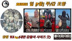10/11 일 [7물] 쭈꾸미/갑오징어 조항 입니다.