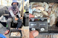 10월11일 갑오징어(장원 50갑)