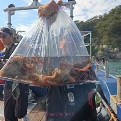 10/11 문어 조황 사진