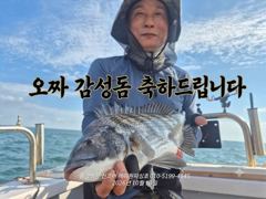 [부산] 태종대권 감시터졌다!!5짜 감성돔 포함 마리수