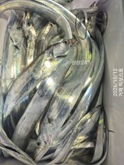 [거제] 통통 살 오른 갈치가 퍽ㆍ퍽 텐빈 6자리있어요~ 사진