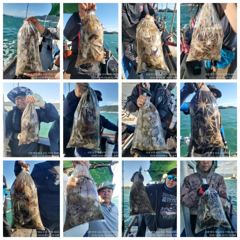 쭈꾸미 출조 합니다.어서오세요