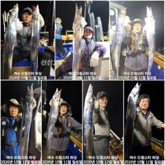 [여수,광양] (여수 드림스타)오늘은 쿨러조황으로 입항! 대박 아님?!다음 물…
