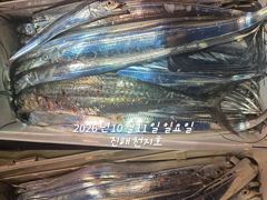 내만갈치 계속 호조항~~~예약가능