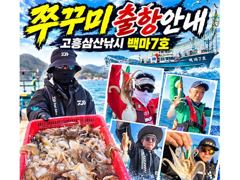<고흥권 왕쭈꾸미!!!> 사이즈 굿 마릿수 최고!! 밀린조황올립니다. 이번주 금,월,화 자리여유! 010 4848 0776