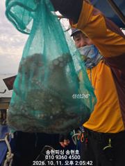 통영 송현호))돌문어 주간 씨알급들 마리수 굿! 사진