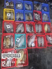 [팁런]k,k,완전무시급들싸이즈"굿"(화요일출항)