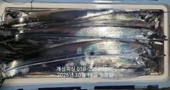 [진해] 준내만 텐빈 은빛 갈치 3지급 느나느나 조황 오늘 무조건 출항 … 사진