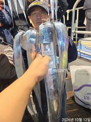 [진해] 12일새벽 내만갈치 용가리급까지 사이즈 최고~!!전원 엄청 잡고… 사진