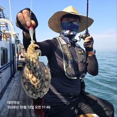 10월12일 무창포 대진피싱 갑오징어 조황입니다 사진
