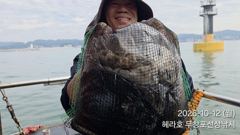 [먹물조황] 10/12 쭈꾸미 갑오징어 조황