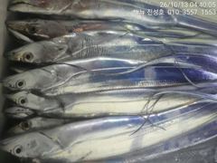 거제 뉴 진성호 10 월 13일 야간 외줄칼치 아침 철수 조항입니다 사진