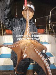 13일, 군산 왕문어 ~빗속에 낚여 올라오는 덩치급 왕문어~연일 계속~실시간~~군산낚시프라자 챔피언호
