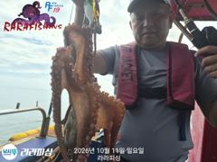 (야간문어) 화수.목.예약가능 화욜 문어잡으러 고고~