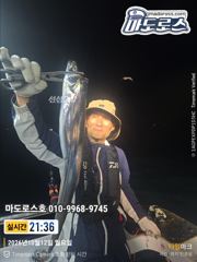 본격적 갈치시즌 초대박 !! 사진