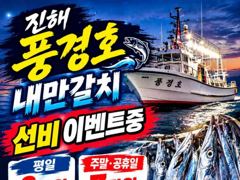 [진해] <내만갈치> 선비 이벤중! 알차게 만쿨! 마릿수 굿