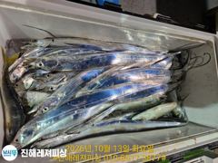 내만칼치ㅡ씨알좋고 마릿수 최고 쿨러 퍼담퍼담(오늘예약가능