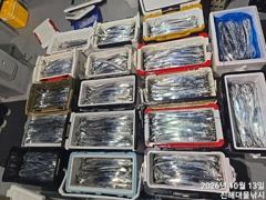 [진해] 와우~13일새벽,내만칼치4지 용가리까지 어마어마하게 퍼담고~초대…