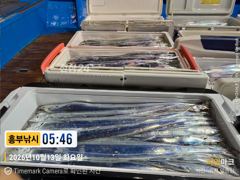 13일 입항 소수인원 초대박 4.5지급다수 오늘 하루쉬고 낼부터 총출동 사진
