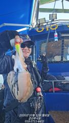 [루시호]10/12 찰갑이 갑오징어 조황 좋습니다