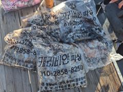 #이번주말 쭈꾸미 출조합니다!!(일요일 6자리여유!!!) 사진
