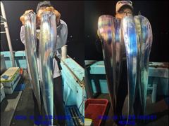 통영백가피싱)기상좋은 목요일,금요일 왕갈치 출동 합니다.한치 채비도 챙겨 오세요 사진