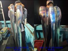 [통영] 통영백가피싱)기상좋은 목요일,금요일 왕갈치 출동 합니다.한치채비… 사진