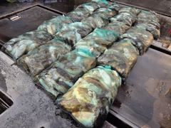 [먹물] ♡갑.쭈♡ 10월 13일 조황~!^^ 사진