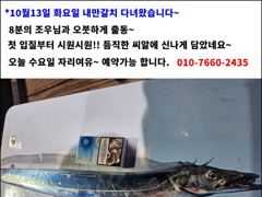 [진해] [14일입항] "내만갈치" 3지이상까징!! 빵빵한 씨알에 손맛보… 사진