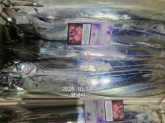 내만갈치 美친..씨알깡패! 퍼담고 쓸어담고..(목예약가능)