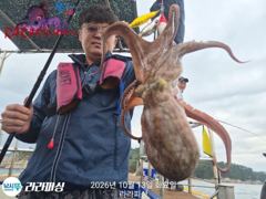 (야간문어) 수.목.금.쭉욱 예약가능 싸이즈가 좋아지고 있어요. 사진