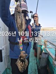13일, 군산은 갑오징어 천국~싸이즈 굿~~내일도 갑니다~군산낚시프라자 나드리호