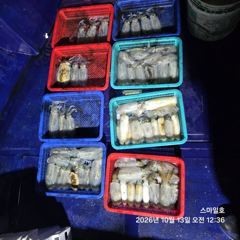 [거제] (내만 팁런)무늬무늬~70여수 씨알 GOOD~스마일호(오늘 예약… 사진