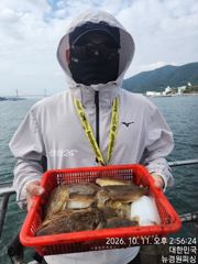 [사천] 내일 갑오징어 8분예약중 출조확정 12자리여유 있습니다